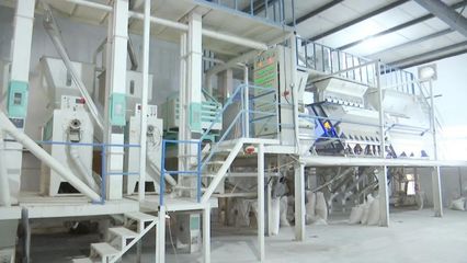 “碰網觸電”拓銷路，黃陂大米借力電商升級設備銷售